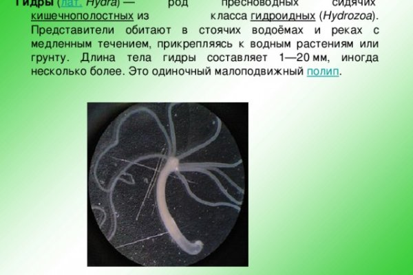 Что можно купить в кракене