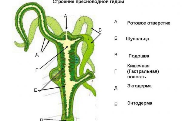 Kraken ссылка зеркало рабочее