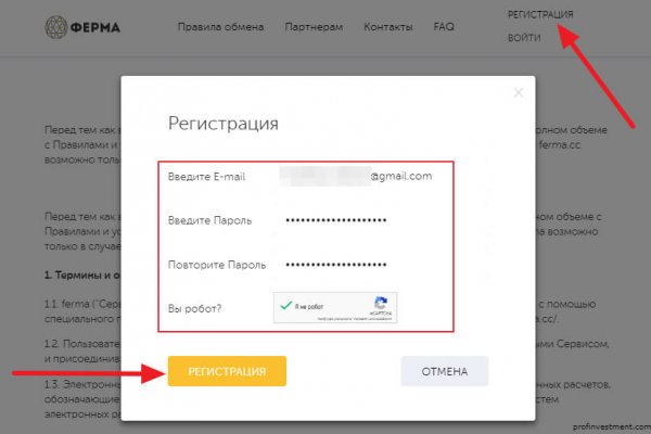 Kraken onion darknet zerkalo