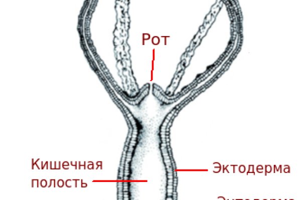 Kraken россия