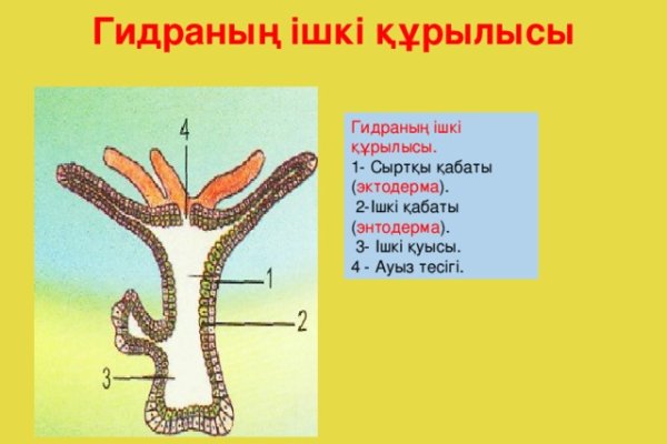 Какая ссылка на кракен