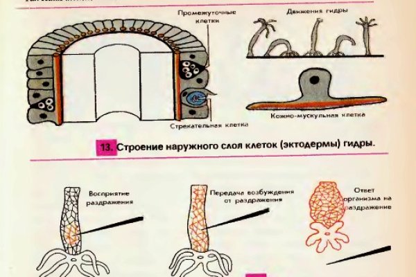 Дарк маркетплейс кракен