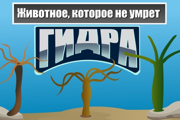 Kraken наркошоп